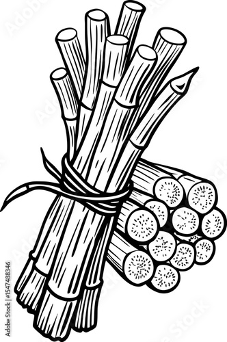 Hand drawn bundle of sugarcane stalks tied together vintage botanical engraving black and white illustration
