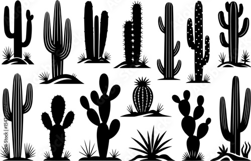Cactus and Succulent Silhouettes Set vector bundle