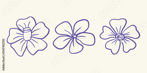Single Flower Head Variants in Minimal and Organic Botanical Style. Vector art illustration isolated transparent background