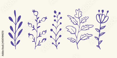 Linear botanical herbs and leaves with nature-inspired simplicity Vector art illustration isolated transparent background