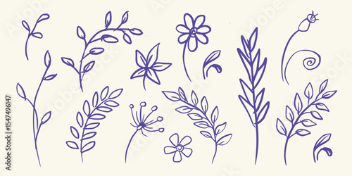 Elegant Line Flowers Vector art illustration isolated transparent background