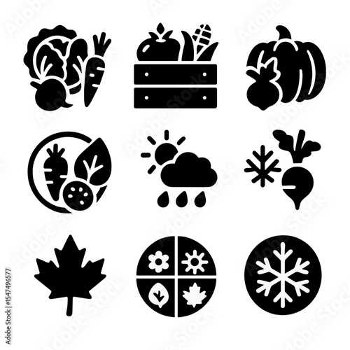 Seasonal CSA Icons. Solid style icons of seasonal CSA share types: spring share icon, summer box, autumn harvest, winter root pack