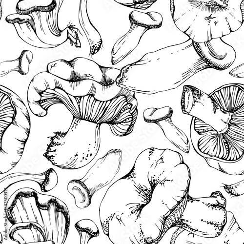 Russula webcap oyster hiratake mushroom. Nature seamless pattern hand drawn in vector ink. Vegan cooking edible raw ingredient. Scrapbooking decoupage stationery, wild food market wrapping, packaging