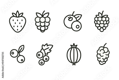Berry Line Icons. Line style icons of berries: strawberry, raspberry, blueberry, blackberry. cranberry, currant, gooseberry,