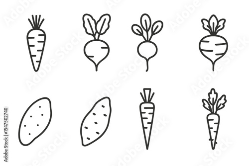 Root Vegetable Icons. Line style icons of root vegetables: carrot, beetroot, radish, turnip. sweet potato, yam, parsnip,