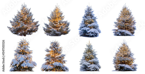 Snowy Christmas Trees with Warm Lights in a Winter Wonderland Setting, Isolated on Transparent, white background
