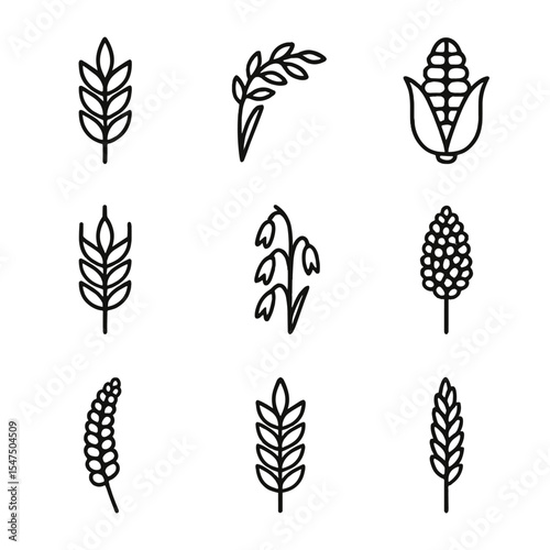 Cereal Crops Icons. Outline icon set of cereal crops: wheat, rice, maize, barley, oats, sorghum, millet, rye, triticale. «Line