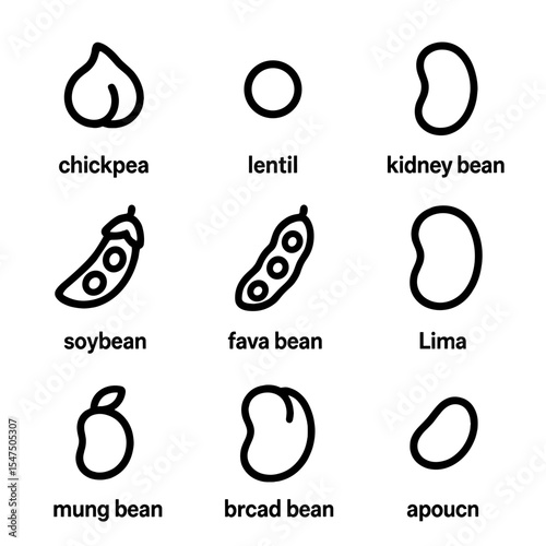 Legume Icon Set. Outline icon set of legume family members: chickpea, lentil, kidney bean, black bean, soy bean, fava bean, lima