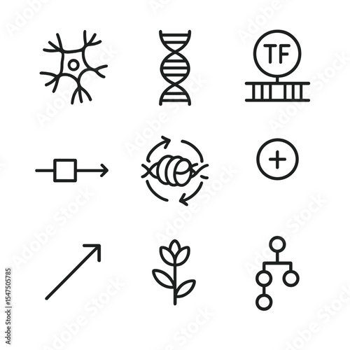 Genetic Influence Icons. Outline icon set of genetic influence on neurogenesis: neural stem cell, DNA helix, transcription factor,