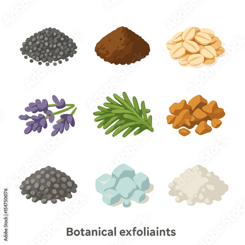 Botanical Exfoliants Icons. Isometric Flat icon set of botanical exfoliants: poppy seeds, ground coffee, oatmeal flakes, lavender