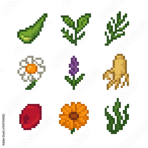 Botanical Extract Icons. Pixel art icon set of botanical extract rejuvenation: aloe vera leaf, green tea leaf, rosemary sprig,