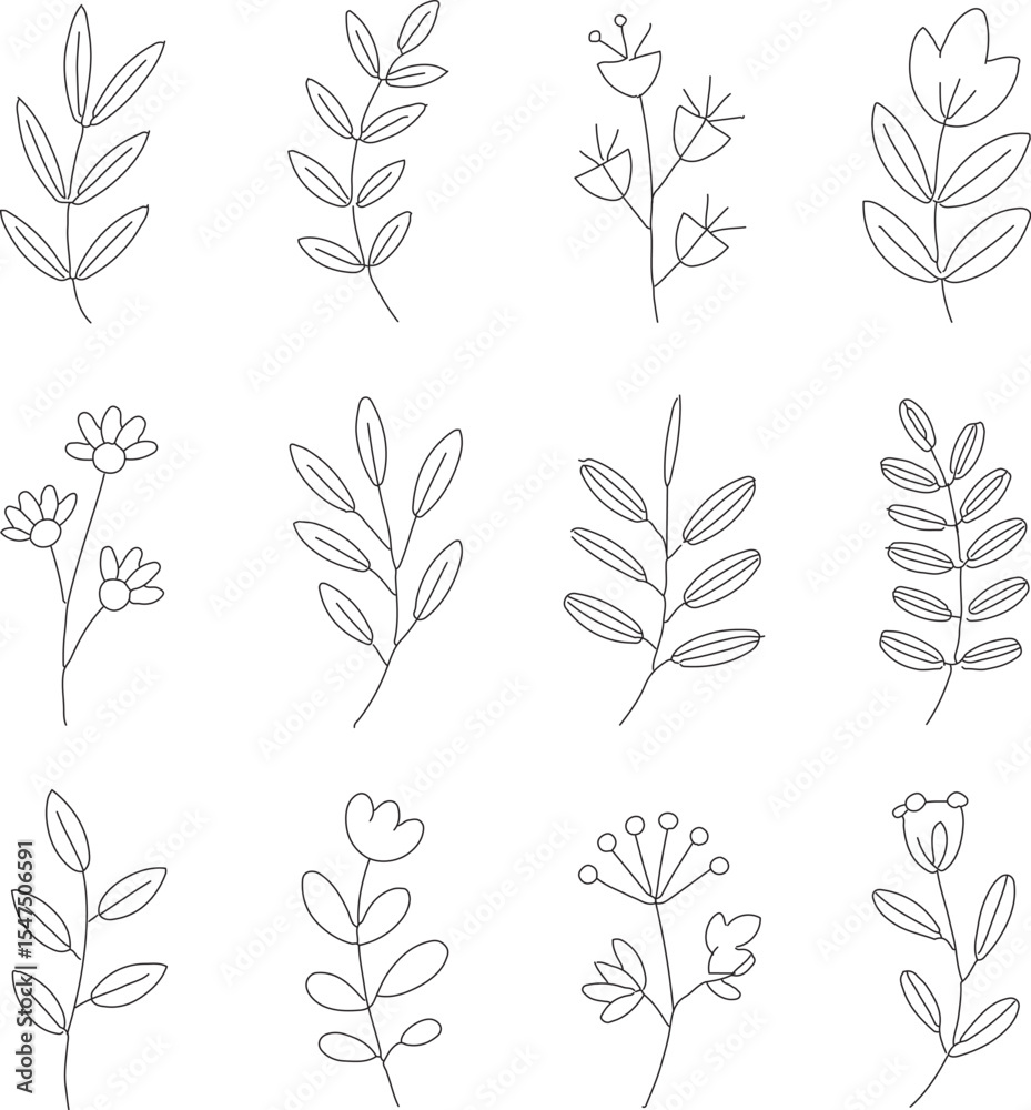 Fototapeta premium Twelve simple line drawings of botanical elements