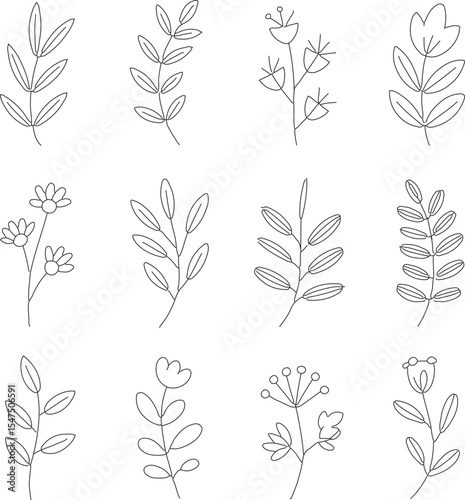 Twelve simple line drawings of botanical elements