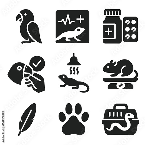 Exotic Animal Care Icons. Solid, filled icons set of exotic animal veterinary care: parrot, reptile chart,