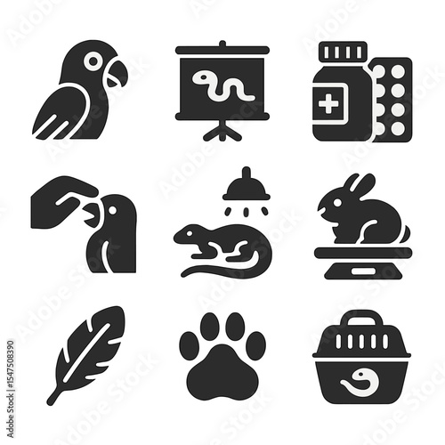 Exotic Animal Care Icons. Solid, filled icons set of exotic animal veterinary care: parrot, reptile chart,
