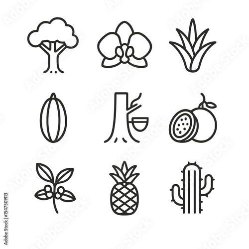 South American Flora Icons. Outline icon set of South American flora: Amazon rainforest tree, orchid bloom, bromeliad, cacao pod,