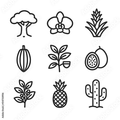 South American Flora Icons. Outline icon set of South American flora: Amazon rainforest tree, orchid bloom, bromeliad, cacao pod,