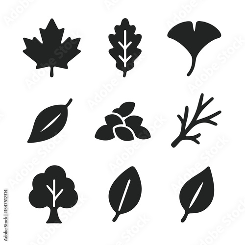 Seasonal Foliage Icons. Solid, filled icons set of seasonal foliage elements: maple leaf, oak leaf, ginkgo
