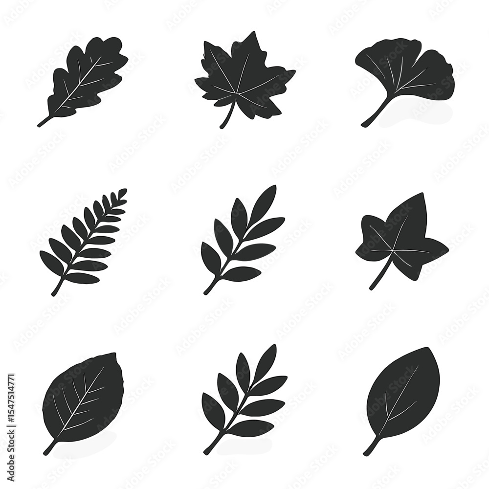 Obraz premium Monochrome Leaf Silhouettes. Isometric Flat icon set of monochrome leaf silhouettes: oak silhouette, maple silhouette, ginkgo