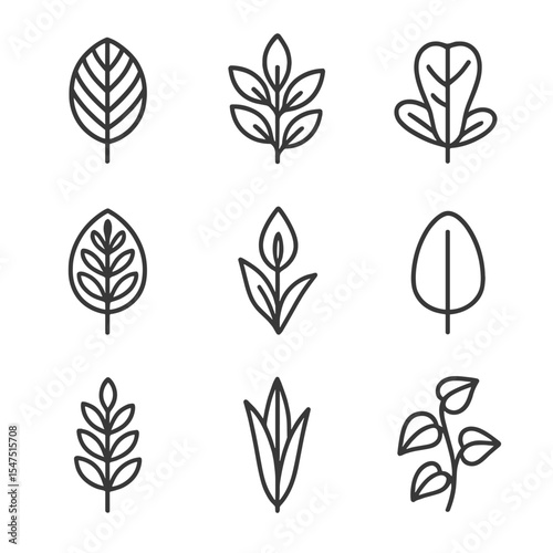 Ornamental Foliage Icons. Outline icon set of ornamental foliage greenhouse: calathea leaf, croton branch, fiddle-leaf fig, prayer