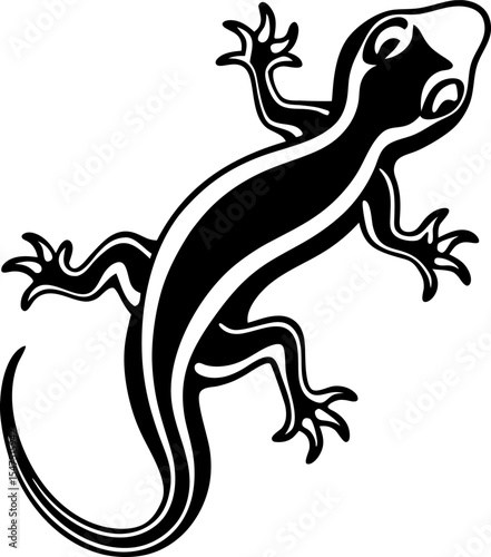 lizard on a white background