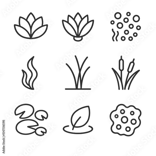 Pond Flora Icons. Outline icon set of pond water flora: water lily, lotus blossom, duckweed mat, algae strand, submerged grass,