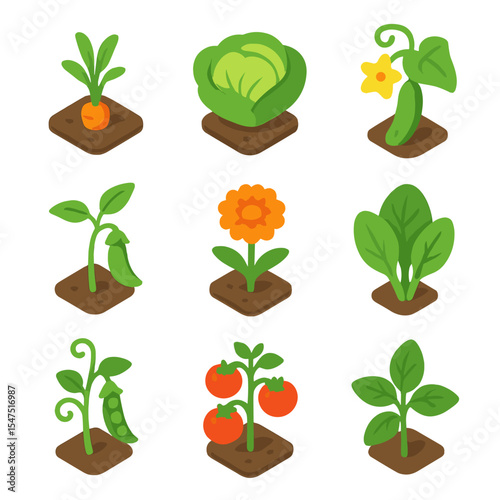 Radish Companion Plant Icons. Isometric Flat icon set of radish companion planting: carrot seedling, lettuce head, cucumber vine,
