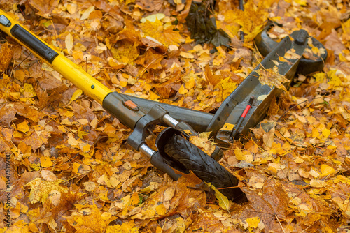 A public electric scooter lies in the forest between the leaves. Abandoned scooter in an autumn park.