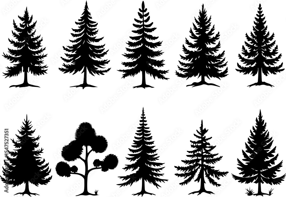 Obraz premium mountain pine tree forest vector bundle