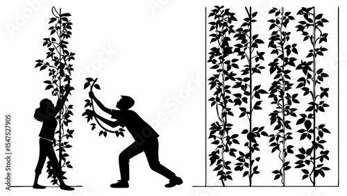 Silhouettes of People Gardening Teamwork Tending Vertical Climbing Plants