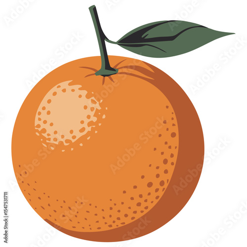 vector illustration of an orange