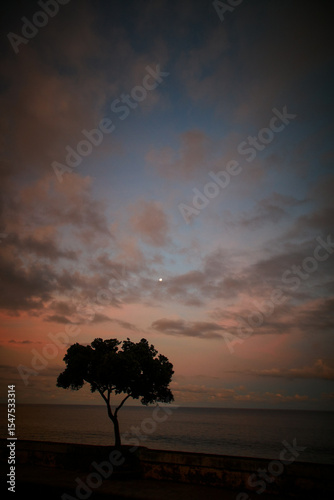 Madeira landscapes, desktop wallpaper, phone screensaver, 