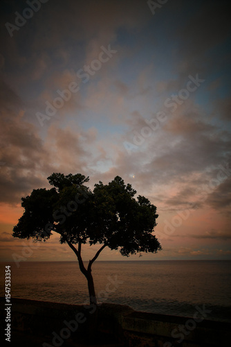 Madeira landscapes, desktop wallpaper, phone screensaver, 