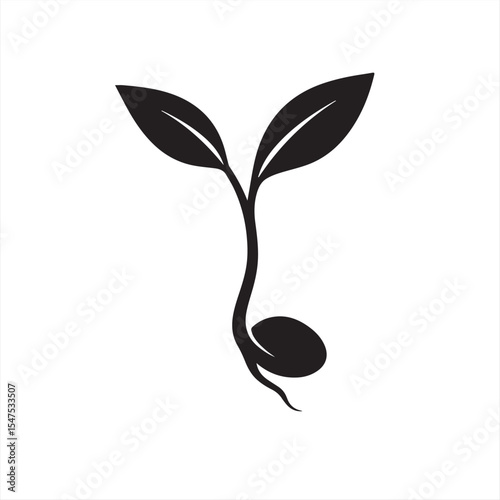seedling