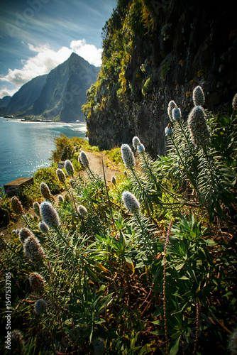Madeira landscapes, desktop wallpaper, phone screensaver, 