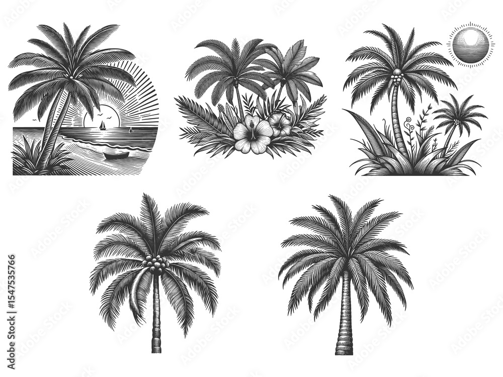 Naklejka premium palm tree Set collection bundle sketch engraving generative ai raster illustration. Scratch board imitation. Black and white image.