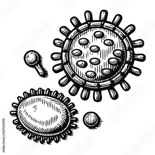 Cleaning germs before and after sanitation process. Germs illustration shows microscopic organisms before and after cleaning.