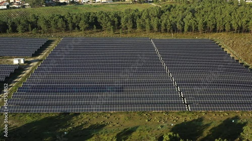 Aerial view of solar farm field showcasing renewable energy with solar panels. Video highlights importance of solar power in reducing planet pollution and promoting clean energy