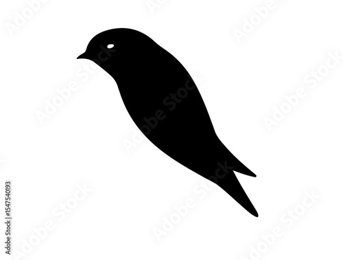 Vector image of Alpine swift in silhollouette vector image.