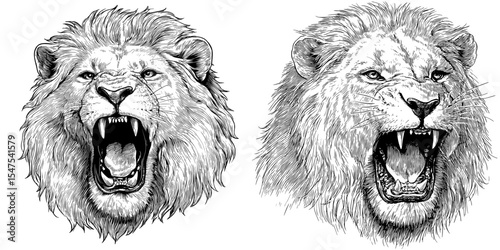 The portrait of a lion's head is depicted in a modern, hand-drawn engraving style, showcasing a growling black leo lion as a cartoon beast