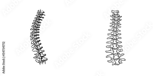 October's World Spine Day is represented by a line art design featuring the human spine on a white background, symbolizing health, strength, and the musculoskeletal system