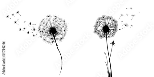 In this modern illustration, a lone dandelion stands out on a white background, its black seeds catching the wind and blowing away, symbolizing the passing of time