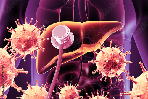 Human liver anatomy with stethoscope. hepatitis virus infection. 3d illustration