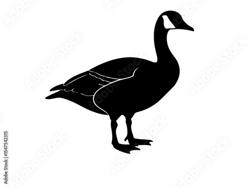 Vector image of Goose in silhouette on white background.