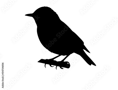 Warbler in silhollouette vector image white baclground side view.