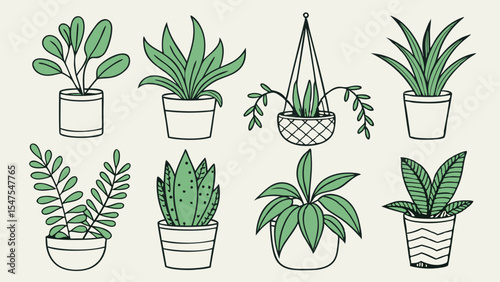 Potted houseplants indoor plants greenery home decor simple hand drawn vector illustration set collection