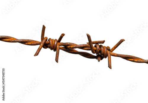 Isolated Piece of Rusty Barbed Wire