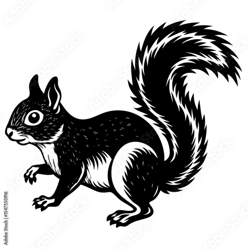Wallpaper Mural Squirrel isolated on white background in black and white illustration Torontodigital.ca
