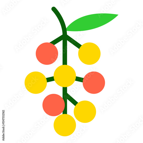 Exotic Fruit Buni Vector Illustration