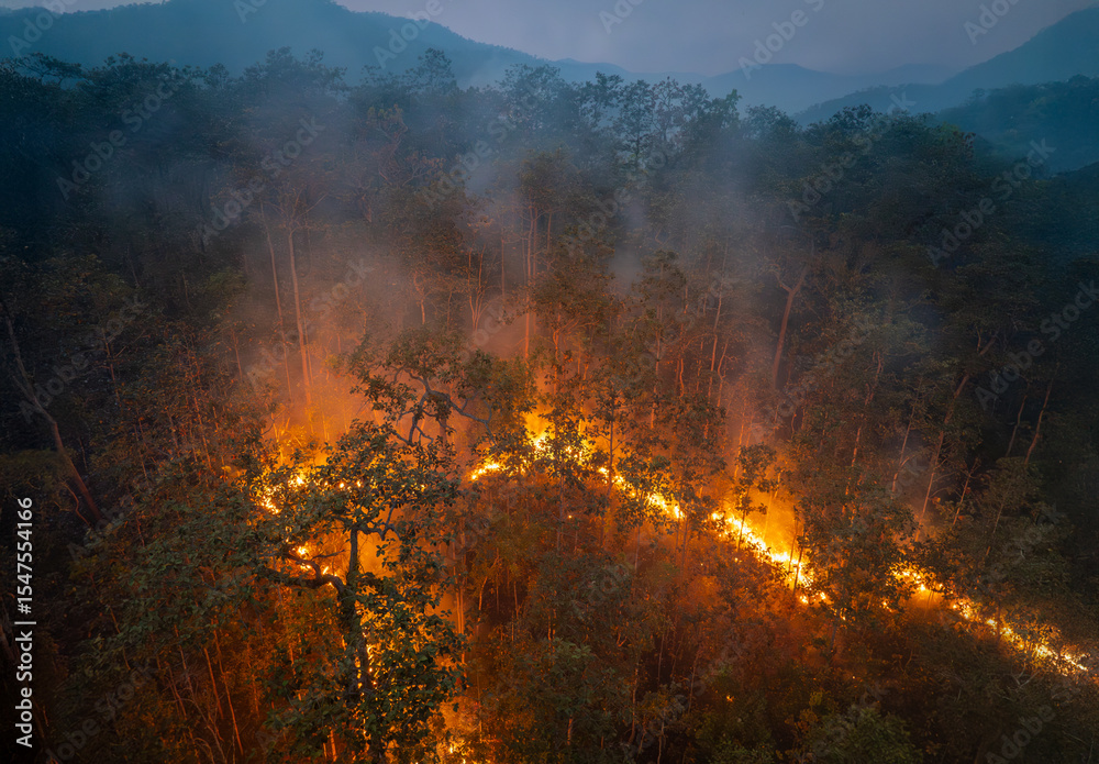 Fototapeta premium Wildfires release carbon dioxide (CO2) emissions and other greenhouse gases (GHG) that contribute to climate change.